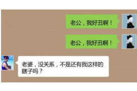 襄阳为什么选择专业追讨公司来处理您的债务纠纷？